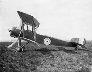 A skid-equipped Sopwith 1 1 / 2 Strutter A5952