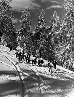 Images Dated 25th July 2011: Skiing Lesson
