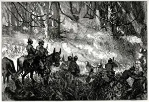 Ashanti Prints: A Skirmish in the Forest, Third Anglo-Ashanti War or First Ashanti Expedition (1873-1874