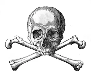 SKULL AND CROSSBONES