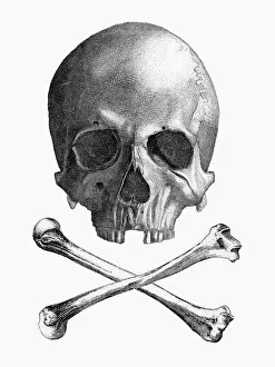 Flown Gallery: Skull and Crossbones