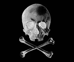 Symbol Collection: Skull and Crossbones - Inverted