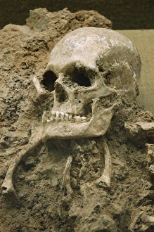 Neolithic Gallery: Skull from Escoural Cave. Neoli?tco Middle-end. Archaeology