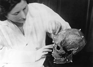 Images Dated 12th May 2011: Skull Reconstruction