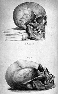 Elongated Prints: SKULLS / 1841