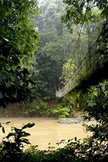 Danum Prints: Sky Walk / Trail bridge / Suspension Bridge /