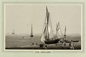 Images Dated 9th January 2017: The Skylark, Brighton, Sussex