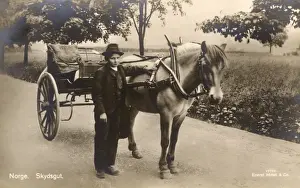 Buggy Prints: Skysgut Boy and horse Buggy, Norway