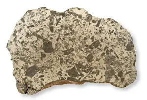 Meteorite Prints: Slab of the Lueders meteorite