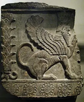 Lotus Prints: Slab with relief of a male winged sphinx. 358-338 BC. Persep