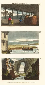 Images Dated 3rd April 2020: Slavery in Virginia and South Carolina