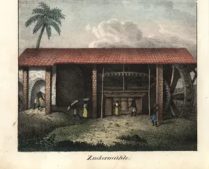 Slaves Prints: Slaves bringing sugar cane to a sugar mill