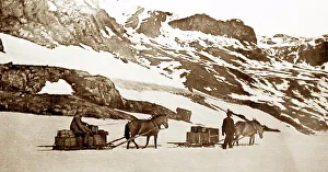 Sledge transport in Norway