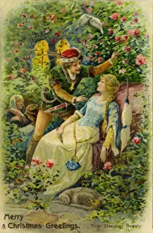 The Sleeping Beauty