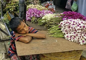 Sleeping boy, Bangkok market