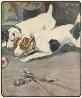 Sleeping Dogs
