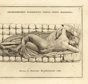 Aphrodite Prints: Sleeping Hermaphroditus, or the Borghese Hermaphroditus