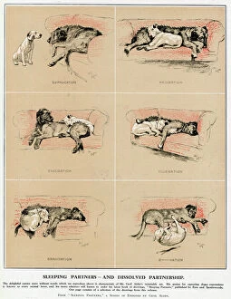 Jan17 Collection: Sleeping Partners and Dissolved Partnership, Cecil Aldin