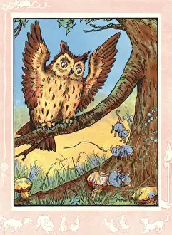 Mice Prints: Sleepy owl wakes up