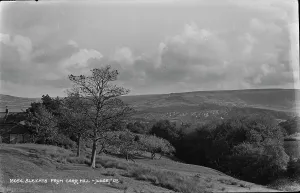 Carr Prints: Sleights from Carr Hill
