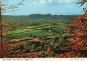 Tourist Collection: Slieve Gullion, Forest Parks, Co. Armagh, N. I