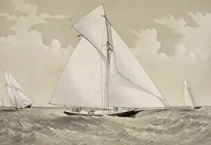 Pocahontas Prints: Sloop yacht Pocahontas of New York