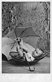 Amid Gallery: Small Baby boy in a Moses Basket amid the reeds