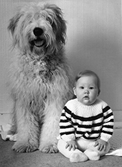 Small baby with large dog