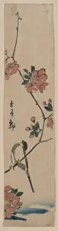Small bird on a branch of Kaidozakura