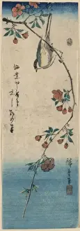 Small bird on a branch of Kaidozakura
