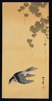 Small bird and grapes