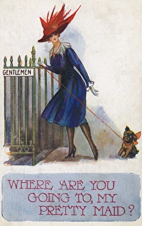 Images Dated 1st June 2017: Small dog alerts his mistress to her impending error