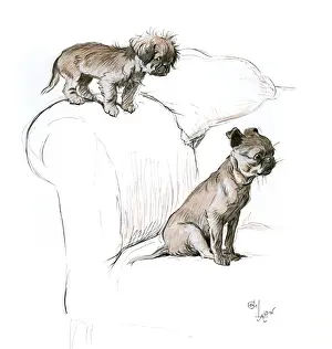 Pekes Prints: Two small dogs on a sofa