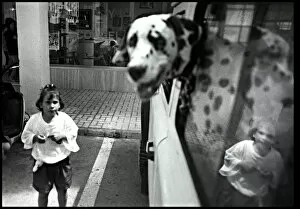 Images Dated 30th August 2016: Small girl in street dalmation in car, Spain