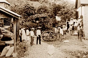 Small growers selling their cotton, St Vincent, Caribbean