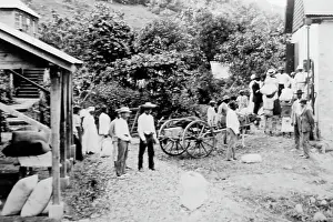 Growers Prints: Small growers selling their cotton in St Vincent early 1900s