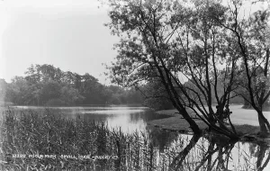 Small Lake in Poole Park