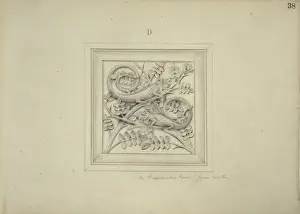 Iguania Prints: Smooth-necked iguana design