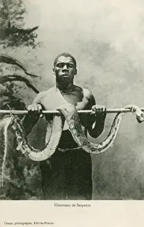 Snake Charmer - Martinique