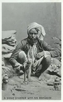 Mongoose Prints: A Snake Charmer with a Mongoose