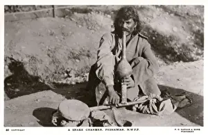 Cobra Prints: Snake Charmer - Peshawar