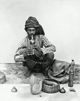 Reptiles Gallery: Snake charmer with snake, India