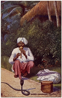 Controls Collection: Snake Charmer - Sri Lanka