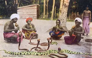 Charmers Prints: Snake Charmers / Ceylon