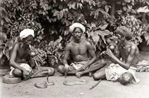 Cobra Prints: Snake charmers, musical instruments, India, c. 1880 s