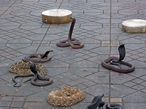 Images Dated 2006 November: 6 Nov 2006