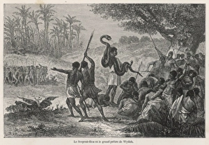 Snake-Gods of Ouidah Snake-Gods of Ouidah