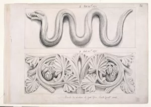 Lepidosaur Gallery: Snake and plant design