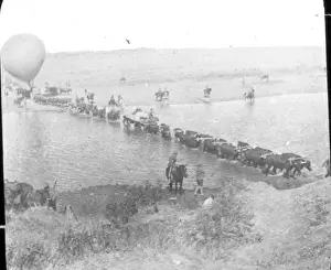Maxwell Prints: Snapshot of a balloon convoy crossing a road in South Africa