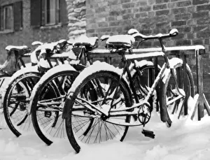 Snow-Covered Bicycles